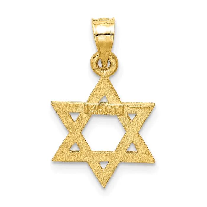 Charm Necklaces 14k Solid Satin Star of David Charm TreasureFineJewelers